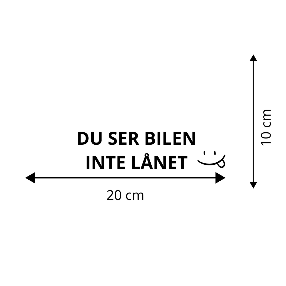 DU SER BILEN INTE LÅNET