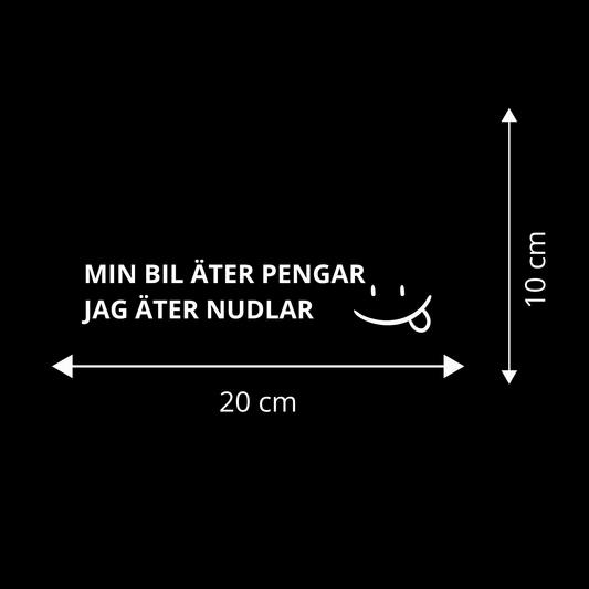 MIN BIL ÄTER PENGAR JAG ÄTER NUDLAR