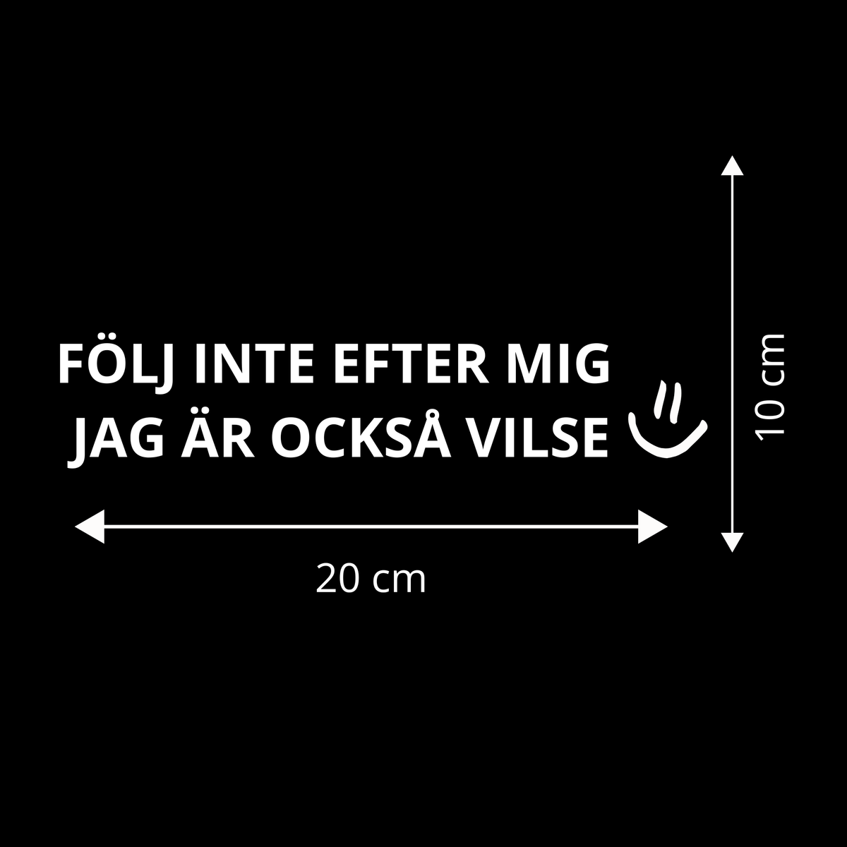 FÖLJ INTE EFTER MIG - JAG ÄR OCKSÅ VILSE