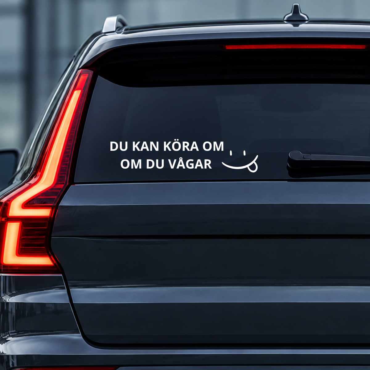 DU KAN KÖRA OM OM DU VÅGAR