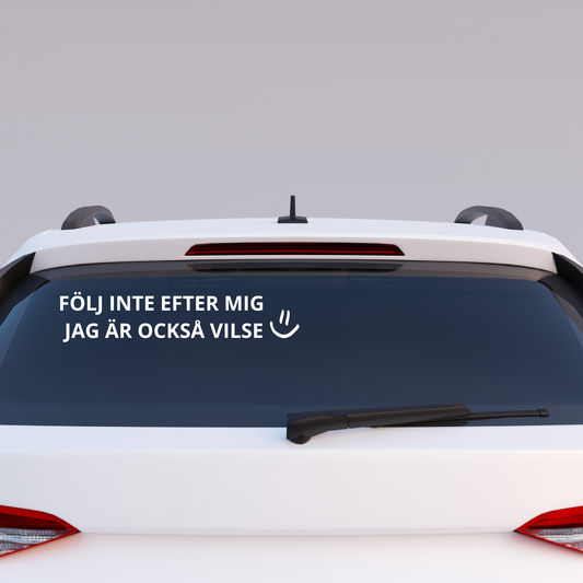 FÖLJ INTE EFTER MIG - JAG ÄR OCKSÅ VILSE