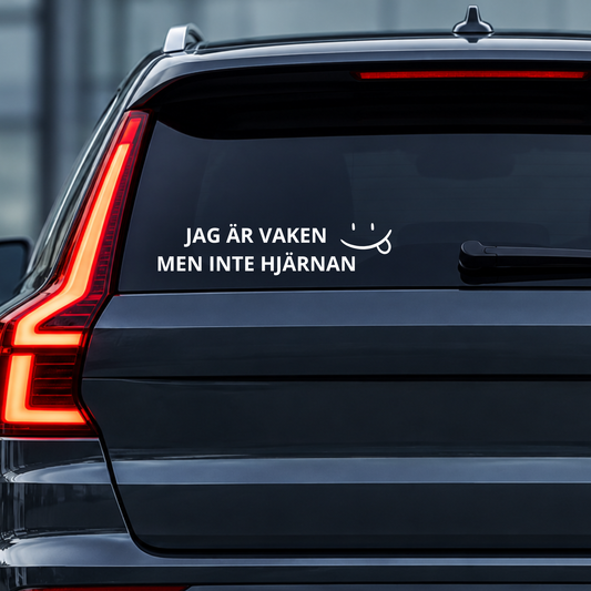 JAG ÄR VAKEN MEN INTE HJÄRNAN