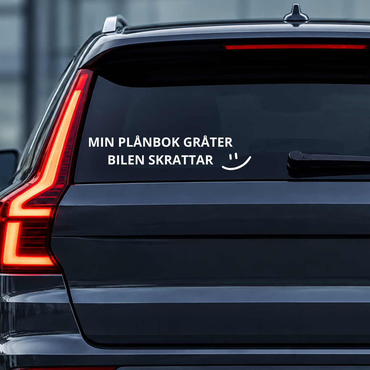 MIN PLÅNBOK GRÅTER - BILEN SKRATTAR