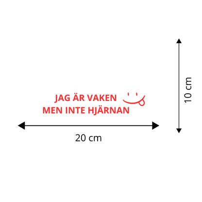 JAG ÄR VAKEN MEN INTE HJÄRNAN