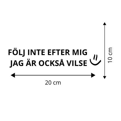 FÖLJ INTE EFTER MIG - JAG ÄR OCKSÅ VILSE