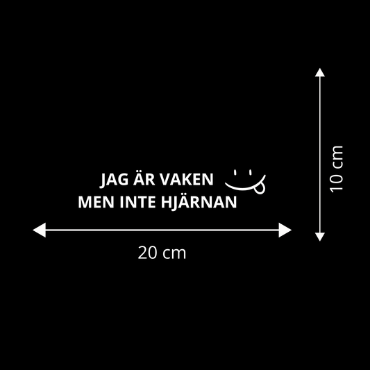 JAG ÄR VAKEN MEN INTE HJÄRNAN